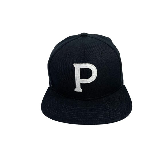 PANDORA RADIO Baseball Cap Internet Music Strapback Adjustable Hat- EUC - Picture 1 of 7